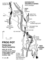 Descent 188 Frog Pot and Goyden Aquamole Series